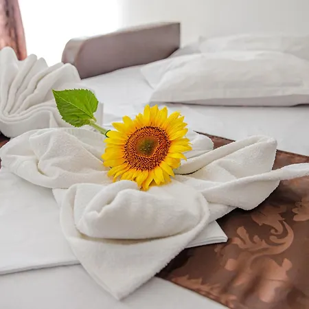 Marcos Гостевой дом Костинешти