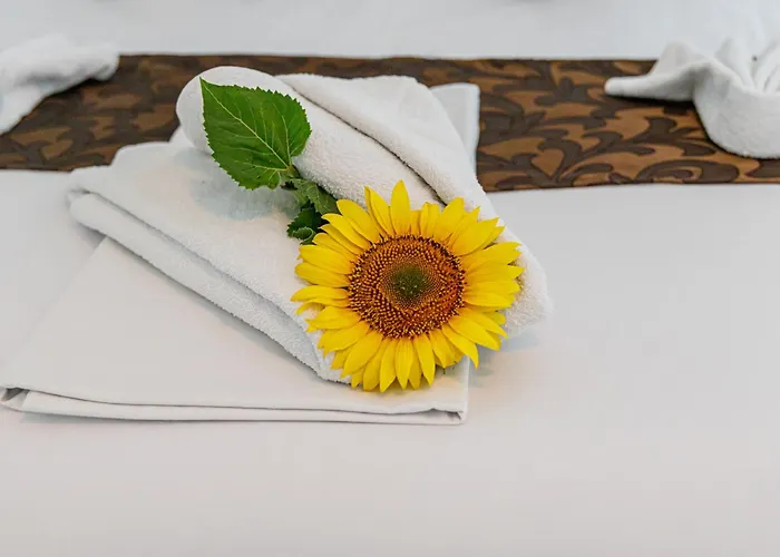 Marcos كوستِنيست